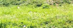 Lahan untuk Dijual Lokasi Wagir, Malang Luas 8468m2 SHM Lahan untuk Dijual Lokasi Wagir, Malang Luas 8468m2 SHM
