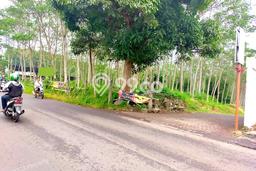 Tanah Dijual Lokasi Wagir, Malang Luas 13347m2 Legalitas Aman Tanah Dijual Lokasi Wagir, Malang Luas 13347m2 Legalitas Aman