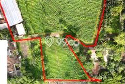 Tanah Dijual Lokasi Purwodadi, Pasuruan Luas 7382m2 Legalitas Aman Tanah Dijual Lokasi Purwodadi, Pasuruan Luas 7382m2 Legalitas Aman