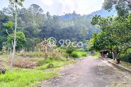 Lahan Investasi Lokasi Bumiaji Batu SHM Lahan Investasi Lokasi Bumiaji Batu SHM