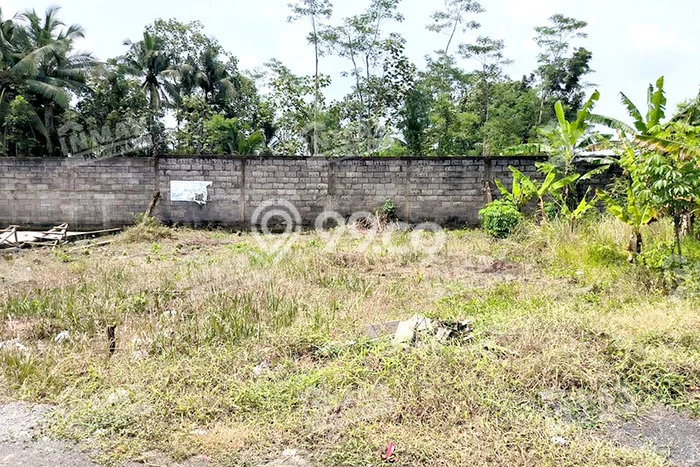 Dijual Tanah Kawasan Kepanjen, Luas 209m2m², Lokasi Potensial Dijual Tanah Kawasan Kepanjen, Luas 209m2m², Lokasi Potensial