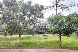 Tanah Kavling Dijual di Malang dengan Spesifikasi 398m2 Tanah Kavling Dijual di Malang dengan Spesifikasi 398m2