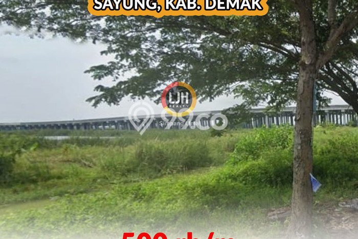Lahan Kosong Dijual di Sayung, Demak, Luas 59710m2 Area Strategis Lahan Kosong Dijual di Sayung, Demak, Luas 59710m2 Area Strategis