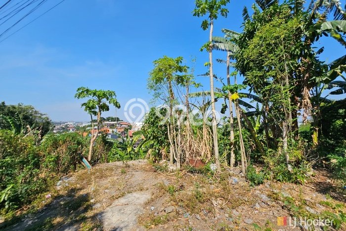 Lahan Kosong Dijual di Ngaliyan, Semarang, Luas 7189m2 Area Strategis Lahan Kosong Dijual di Ngaliyan, Semarang, Luas 7189m2 Area Strategis