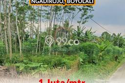 Tanah Strategis Dijual di Ampel Boyolali 65000m2 Tanah Strategis Dijual di Ampel Boyolali 65000m2