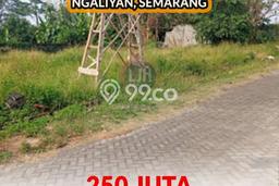 Kavling Tanah Dijual di Ngaliyan Semarang Spesifikasi 135m2 Kavling Tanah Dijual di Ngaliyan Semarang Spesifikasi 135m2
