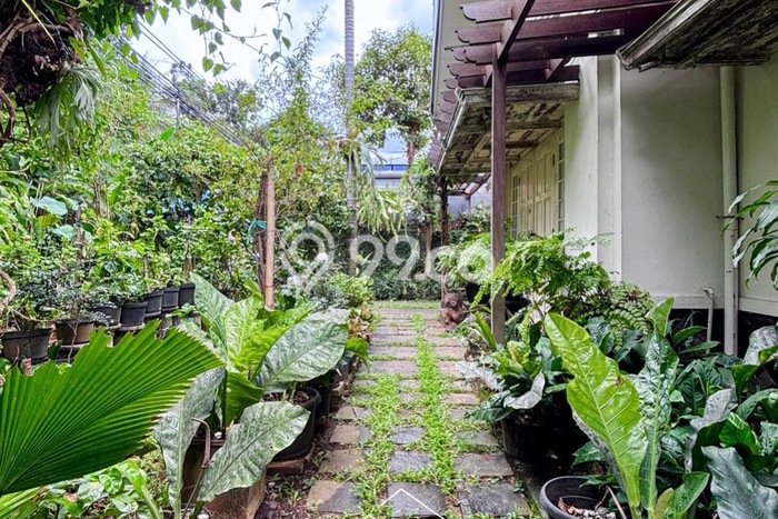 For Sale Rumah Mewah Exclusive di Menteng, Jakarta Pusat For Sale Rumah Mewah Exclusive di Menteng, Jakarta Pusat