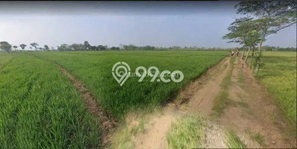 Kavling Tanah Dijual di Kertajati Majalengka Spesifikasi 2900m2 Kavling Tanah Dijual di Kertajati Majalengka Spesifikasi 2900m2