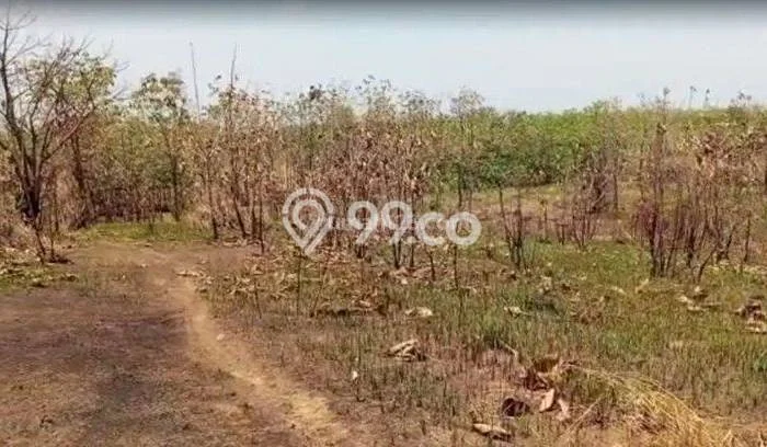 Kavling Tanah Dijual di Kertajati Majalengka Spesifikasi 2900m2 Kavling Tanah Dijual di Kertajati Majalengka Spesifikasi 2900m2