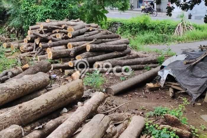 Tanah Dijual Area Strategis di Singaraja Buleleng 1000m2 Tanah Dijual Area Strategis di Singaraja Buleleng 1000m2