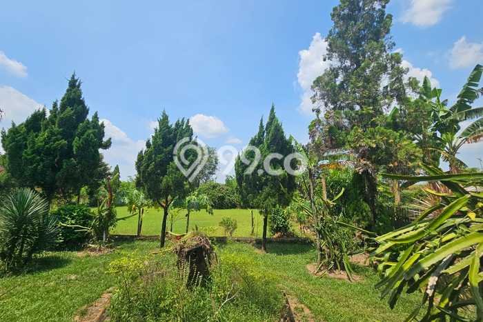 Kavling Tanah Dijual di Cipeundeuy, Subang, Luas 14538m2 Area Strategis Kavling Tanah Dijual di Cipeundeuy, Subang, Luas 14538m2 Area Strategis
