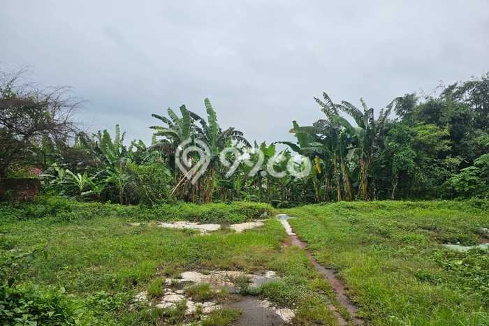 Kavling Tanah di Cipeundeuy Dijual Luas 300000m2 Legalitas SHM Kavling Tanah di Cipeundeuy Dijual Luas 300000m2 Legalitas SHM