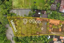 Lahan untuk Disewa di Tabanan Luas 3000m2 Lahan untuk Disewa di Tabanan Luas 3000m2