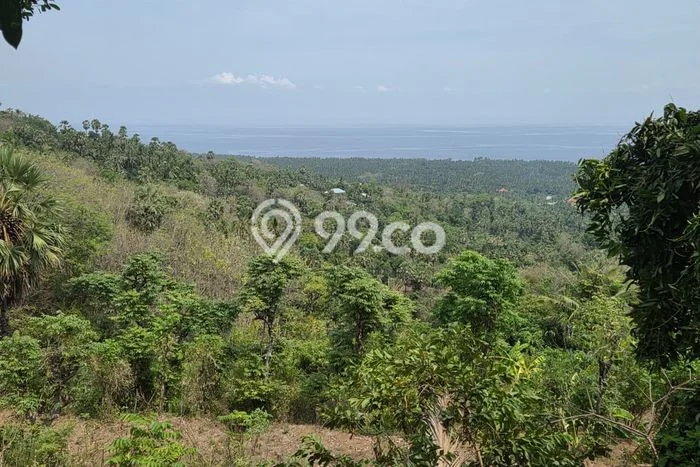 Tanah Area Berkembang Kawasan , Luas 3070m2m², Kawasan Nyaman, Dekat Buleleng, Buleleng Tanah Area Berkembang Kawasan , Luas 3070m2m², Kawasan Nyaman, Dekat Buleleng, Buleleng