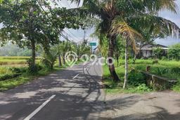 Tanah Premium di Gianyar, Luas 0m², Dekat Gianyar, Gianyar, Gianyar Tanah Premium di Gianyar, Luas 0m², Dekat Gianyar, Gianyar, Gianyar