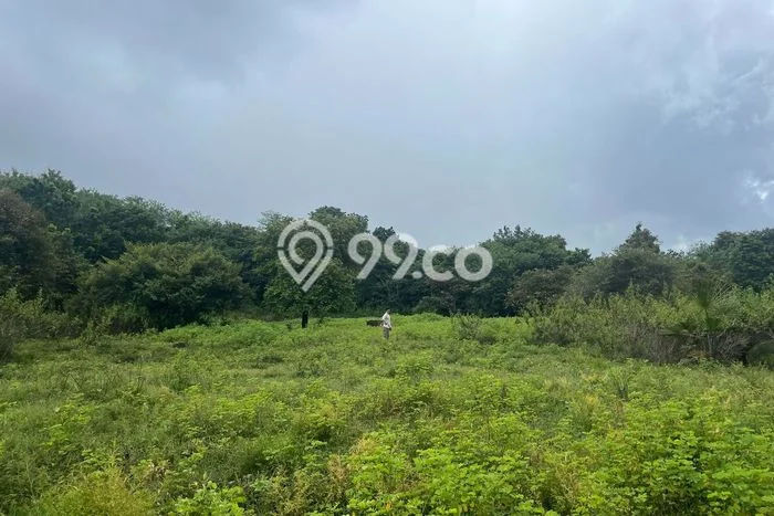 Tanah Kavling Dijual di Manggarai Barat dengan Spesifikasi 40000m2 Tanah Kavling Dijual di Manggarai Barat dengan Spesifikasi 40000m2