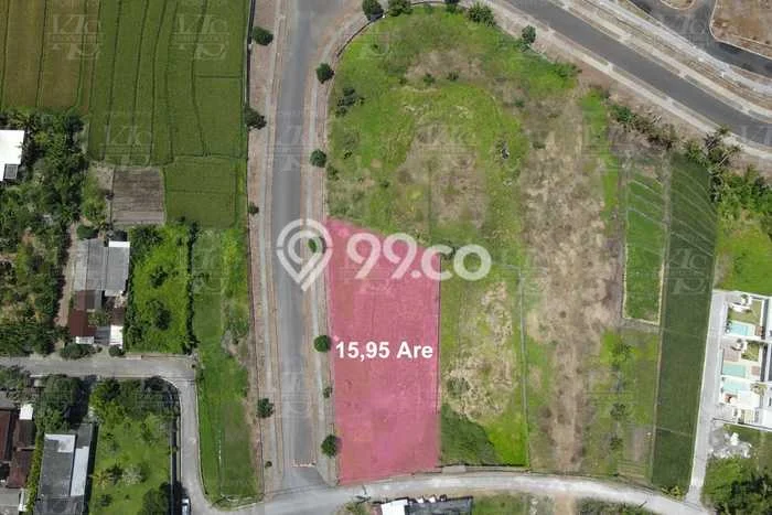 Tanah Kavling Disewakan di Kedungu dengan Luas 1595m2 Tanah Kavling Disewakan di Kedungu dengan Luas 1595m2