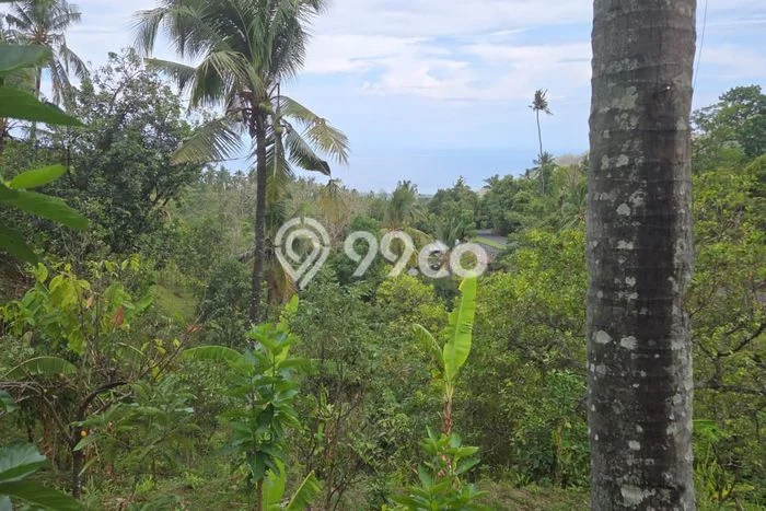 Tanah Kawasan Tejakula, Luas 8500m2m², Kawasan Prospektif, Dekat Tejakula, Buleleng, Buleleng Tanah Kawasan Tejakula, Luas 8500m2m², Kawasan Prospektif, Dekat Tejakula, Buleleng, Buleleng