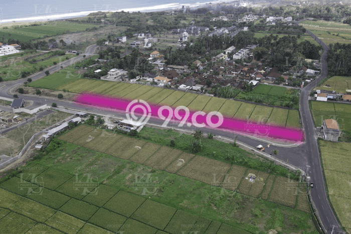 Disewakan Tanah di Kedungu, Luas 3000m², Area Premium Disewakan Tanah di Kedungu, Luas 3000m², Area Premium