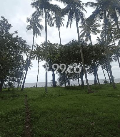 Lahan untuk Dijual di Buleleng Buleleng Luas 2500m2 Lahan untuk Dijual di Buleleng Buleleng Luas 2500m2