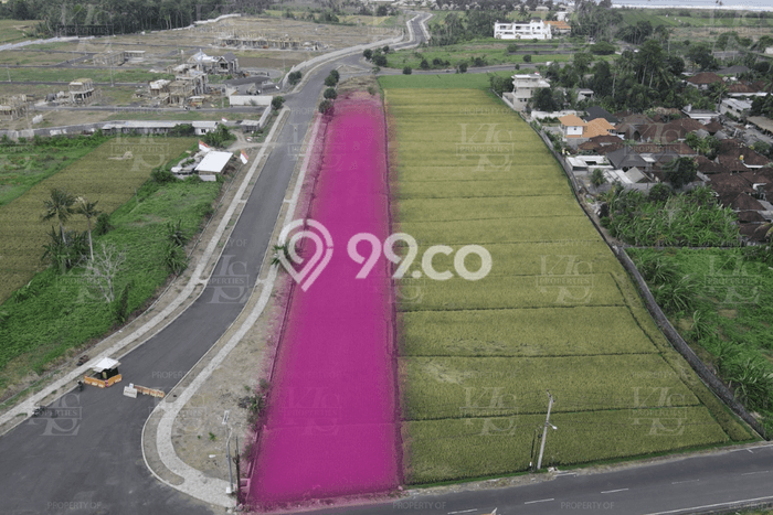 Disewakan Tanah di Kedungu, Luas 3000m², Area Premium Disewakan Tanah di Kedungu, Luas 3000m², Area Premium