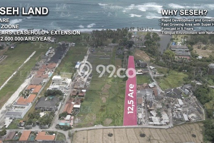 Tanah untuk Disewa di Badung Luas 1250m2 Tanah untuk Disewa di Badung Luas 1250m2
