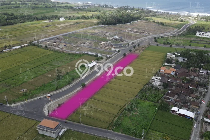 Disewakan Tanah di Kedungu, Luas 3000m², Area Premium Disewakan Tanah di Kedungu, Luas 3000m², Area Premium