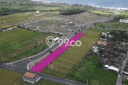 Disewakan Tanah di Kedungu, Luas 3000m², Area Premium Disewakan Tanah di Kedungu, Luas 3000m², Area Premium