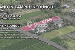 Tanah Disewa Strategis di Tabanan Luas 960m2 Tanah Disewa Strategis di Tabanan Luas 960m2