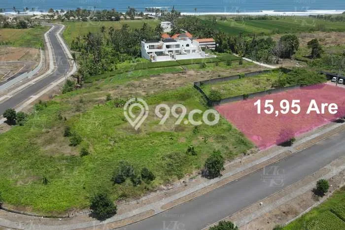 Tanah Kavling Disewakan di Kedungu dengan Luas 1595m2 Tanah Kavling Disewakan di Kedungu dengan Luas 1595m2