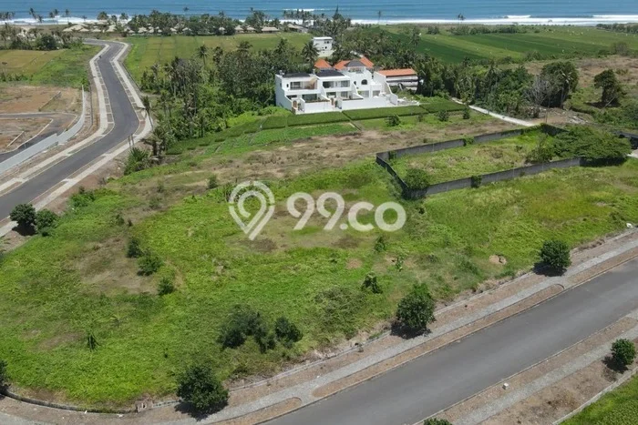 Tanah Disewakan Lokasi Kedungu Tabanan Luas 1595m2 Tanah Disewakan Lokasi Kedungu Tabanan Luas 1595m2