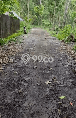 Lahan untuk Dijual di Buleleng Buleleng Luas 2500m2 Lahan untuk Dijual di Buleleng Buleleng Luas 2500m2