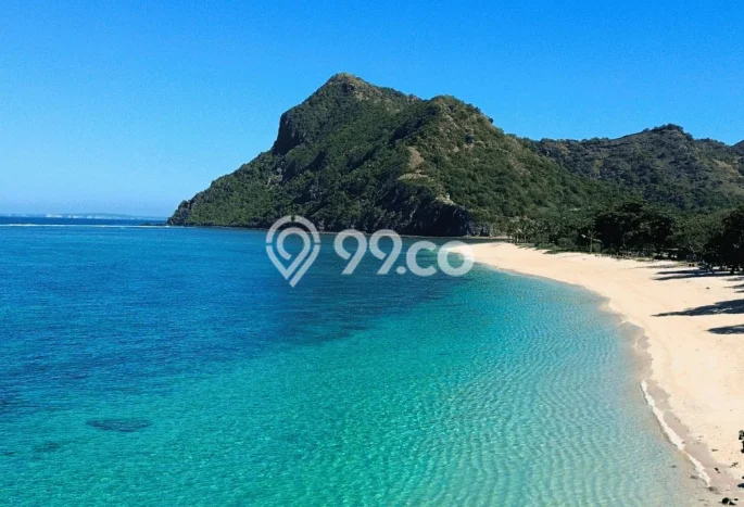 Tanah untuk Dijual di Sumbawa Sumbawa Luas 4087m2 Tanah untuk Dijual di Sumbawa Sumbawa Luas 4087m2