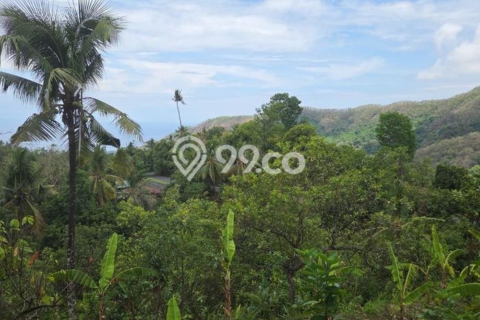 Tanah Kawasan Tejakula, Luas 8500m2m², Kawasan Prospektif, Dekat Tejakula, Buleleng, Buleleng Tanah Kawasan Tejakula, Luas 8500m2m², Kawasan Prospektif, Dekat Tejakula, Buleleng, Buleleng