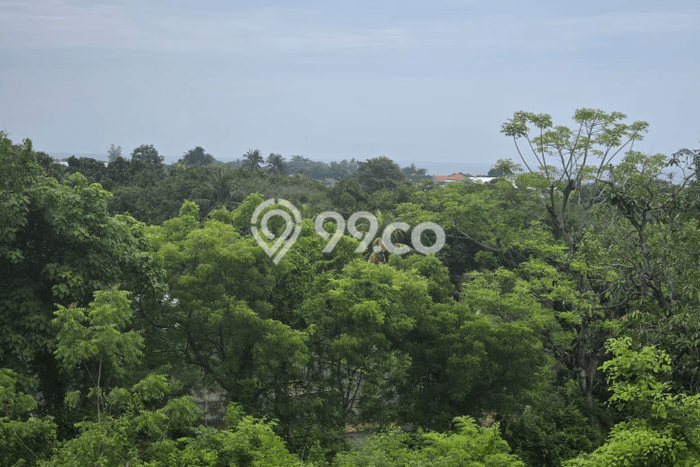 Kavling Tanah di Buleleng Dijual Luas 15000m2 Legalitas SHM Kavling Tanah di Buleleng Dijual Luas 15000m2 Legalitas SHM
