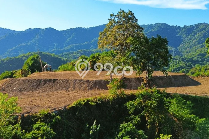 Tanah untuk Dijual di Sumbawa Sumbawa Luas 4087m2 Tanah untuk Dijual di Sumbawa Sumbawa Luas 4087m2