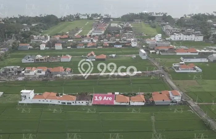 Tanah Disewakan Lokasi Badung Seluas 390m2 Strategis dan Aman Tanah Disewakan Lokasi Badung Seluas 390m2 Strategis dan Aman