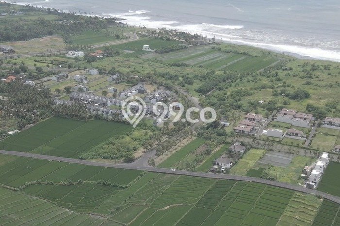 Tanah Disewa Strategis di Tabanan Luas 960m2 Tanah Disewa Strategis di Tabanan Luas 960m2