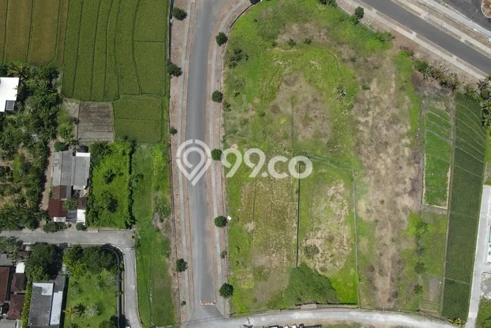 Tanah Disewakan Lokasi Kedungu Tabanan Luas 1595m2 Tanah Disewakan Lokasi Kedungu Tabanan Luas 1595m2