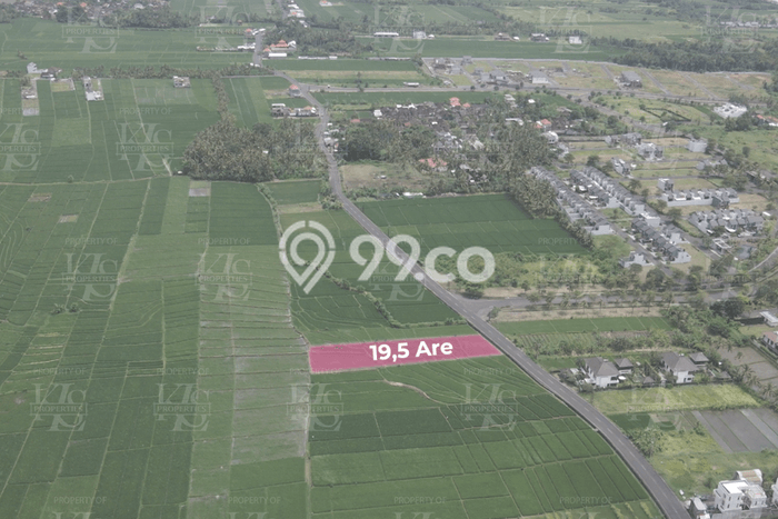 Tanah Komersial di Kedungu, Luas 1950m², Disewakan, Akses ke Kedungu, Tabanan, Tabanan Tanah Komersial di Kedungu, Luas 1950m², Disewakan, Akses ke Kedungu, Tabanan, Tabanan