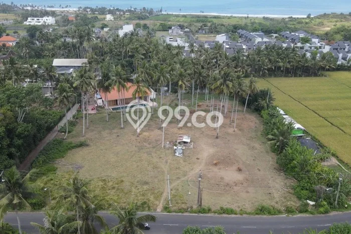 Tanah Disewa di Kedungu Strategis dan Memiliki Luas 2000m2 Tanah Disewa di Kedungu Strategis dan Memiliki Luas 2000m2