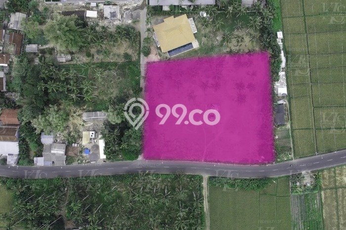 Tanah Disewa di Kedungu Strategis dan Memiliki Luas 2000m2 Tanah Disewa di Kedungu Strategis dan Memiliki Luas 2000m2
