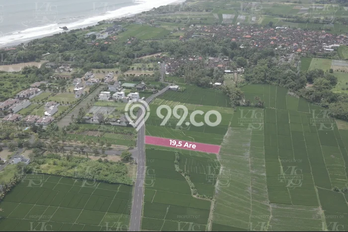 Tanah Komersial di Kedungu, Luas 1950m², Disewakan, Akses ke Kedungu, Tabanan, Tabanan Tanah Komersial di Kedungu, Luas 1950m², Disewakan, Akses ke Kedungu, Tabanan, Tabanan