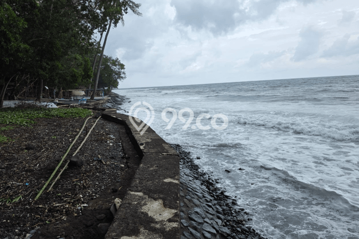 Lahan untuk Dijual di Buleleng Buleleng Luas 2500m2 Lahan untuk Dijual di Buleleng Buleleng Luas 2500m2
