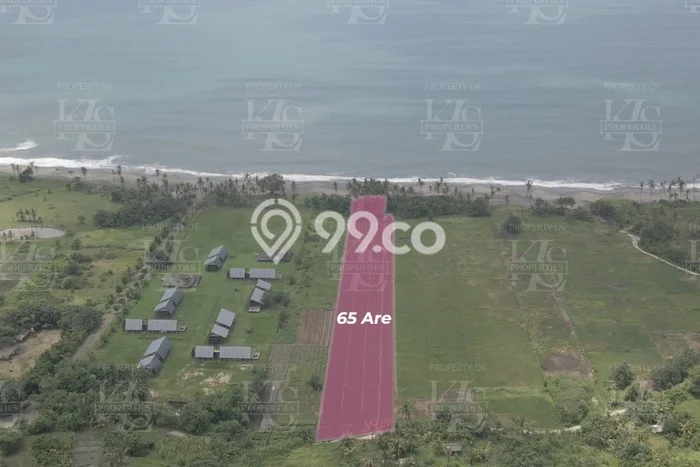 Jarang Ada! Tanah Kavling Disewakan di Tabanan 6500m2 Jarang Ada! Tanah Kavling Disewakan di Tabanan 6500m2