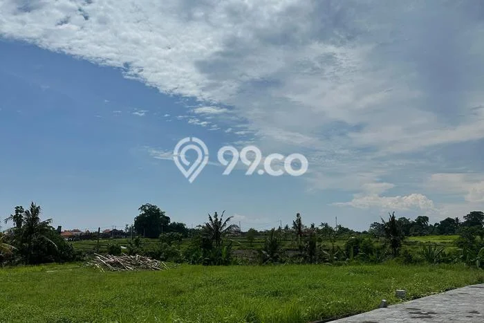 Tanah Kavling Dijual di Kedungu, Tabanan dengan Luas Tanah 555m2 Tanah Kavling Dijual di Kedungu, Tabanan dengan Luas Tanah 555m2