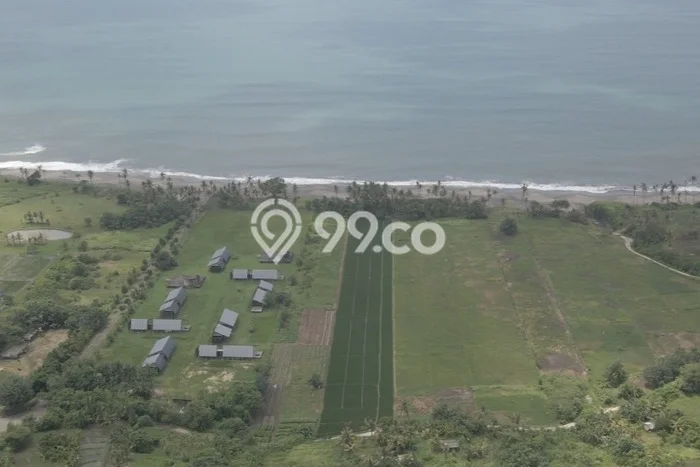 Jarang Ada! Tanah Kavling Disewakan di Tabanan 6500m2 Jarang Ada! Tanah Kavling Disewakan di Tabanan 6500m2