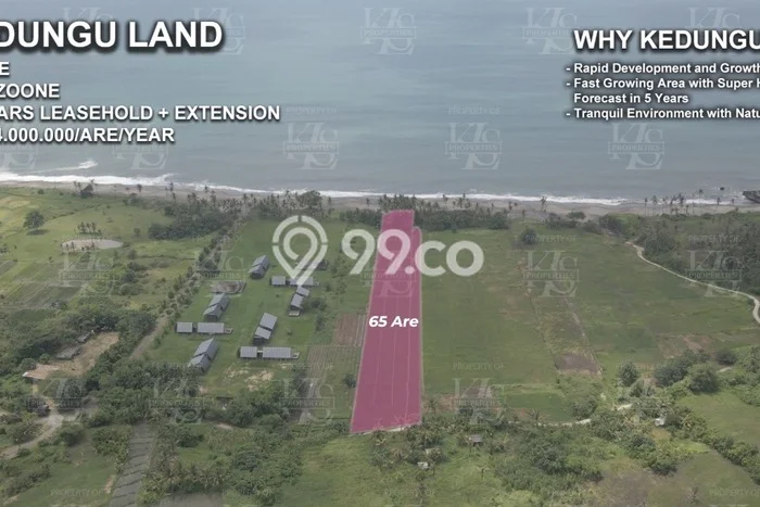 Jarang Ada! Tanah Kavling Disewakan di Tabanan 6500m2 Jarang Ada! Tanah Kavling Disewakan di Tabanan 6500m2