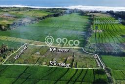 HARGA MENARIK! Tanah Kawasan , Luas 6050m2m², Area Asri, Bebas Banjir HARGA MENARIK! Tanah Kawasan , Luas 6050m2m², Area Asri, Bebas Banjir