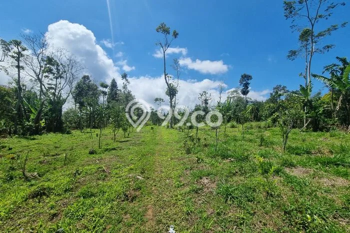 LOKASI STRATEGIS! Tanah di , Luas 8000m2m², Lokasi Potensial, Cocok untuk Investasi LOKASI STRATEGIS! Tanah di , Luas 8000m2m², Lokasi Potensial, Cocok untuk Investasi